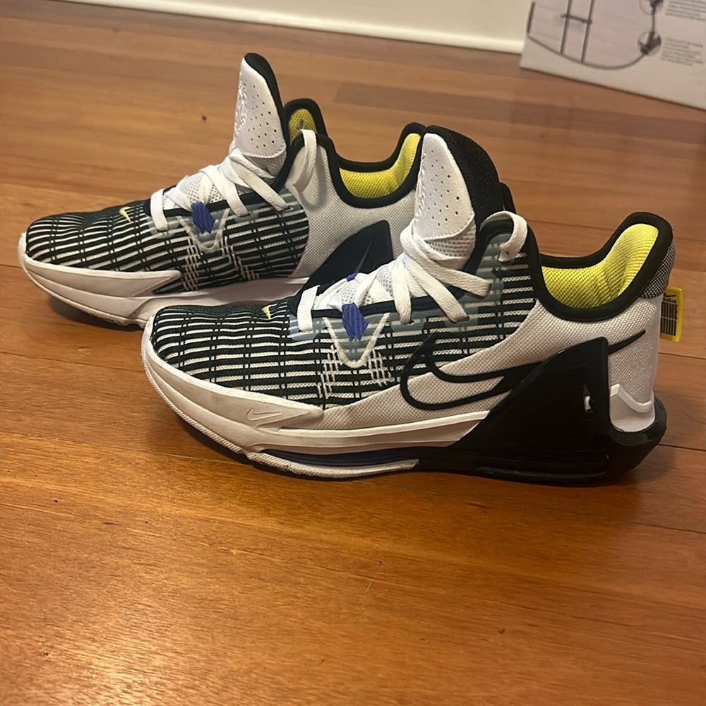 Nike Lebron Witness 6